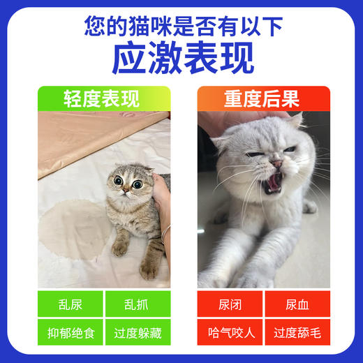 玲宠费洛蒙猫用喷雾安抚情绪扩散器猫咪信息素经典防猫应激乱尿 商品图1