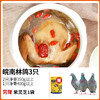 【杨博士皖南土鸽】林间散养  皖南鸽子  孩子孕妇首选 鸽王 3只原粮饲喂 商品缩略图1