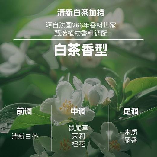 美国天然之扉男士洗发水净爽无硅油去屑止痒清爽控油蓬松400ml效期26年8月 商品图7