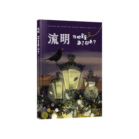 《流明：谁把星星藏了起来？》