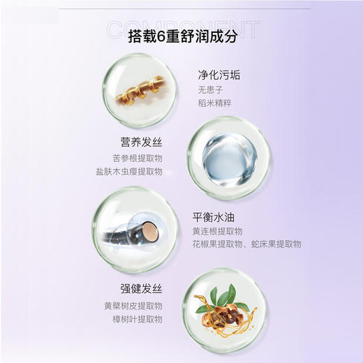 【新升级】博柔蓬松洗发水香味持久留香洗发水控油蓬松改善毛躁洗发露发膜套装 商品图4