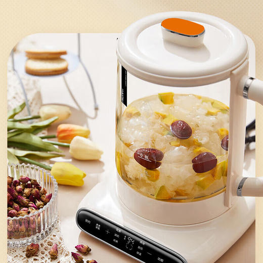 海牌养生壶_ 1.5L家用多功能煮茶烧水壶办公室煮茶器 HP-Y15B【K】 商品图0