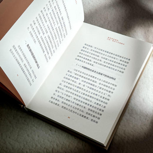 教育强国建设 大夏书系 知道 朱永新 创新实践路径 教育发展 商品图9