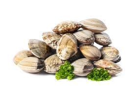 花甲1斤（约15-20个）