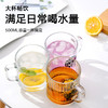 乐美雅（Luminarc）玻璃杯带把手茶杯钢化玻璃咖啡杯高颜值微波炉可用条纹杯500ml*2只装_MW 商品缩略图2