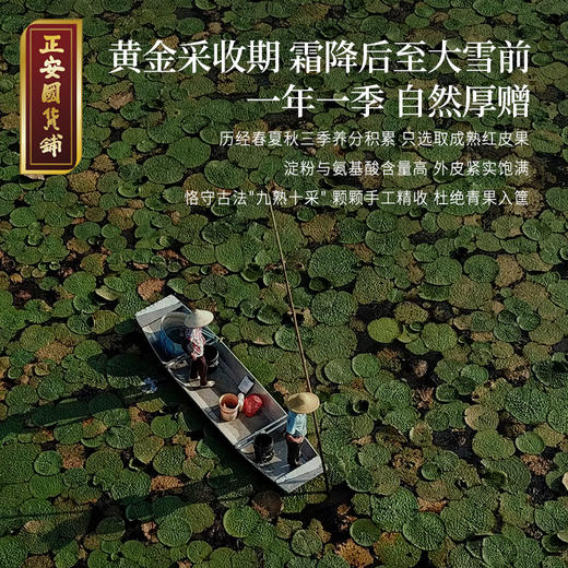 正安 肇庆红皮芡实 粒大饱满粉糯清香优质原材 脾胃湿气汤方办公室茶饮芡实米煲汤食材家庭粥羹 芡实400g/罐 商品图8