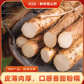 【2025年现挖产地直发】正宗河南温县垆土铁棍山药 3000年贡品品质 软糯香甜 皮薄如丝营养价值高