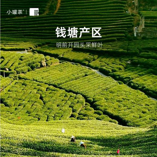 小罐茶大师系列早春龙井茶24罐装(银罐) 商品图2