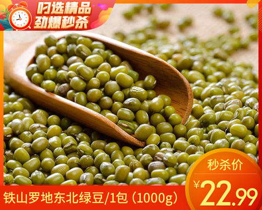 铁山罗地东北绿豆/1包（1000g）生产日期：25年10月补单专用 商品图0