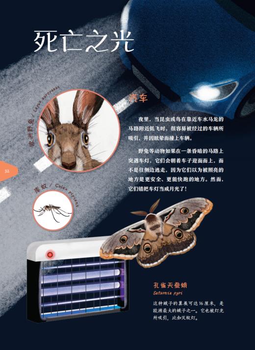 《流明：谁把星星藏了起来？》 商品图11