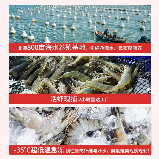 【95%纯虾肉】喜辉青虾滑 无添加 无保水剂 肉质紧实鲜甜大颗粒  新鲜虾饼火锅食材手打涮菜 100g/袋 商品图4
