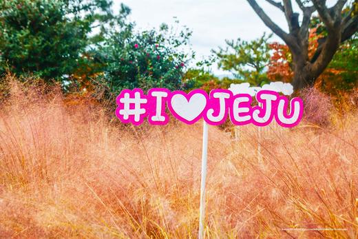 9.25确定出发【韩国济州岛】韩风来袭•粉红海岸线5天摄影<广州直飞，免签> 商品图8