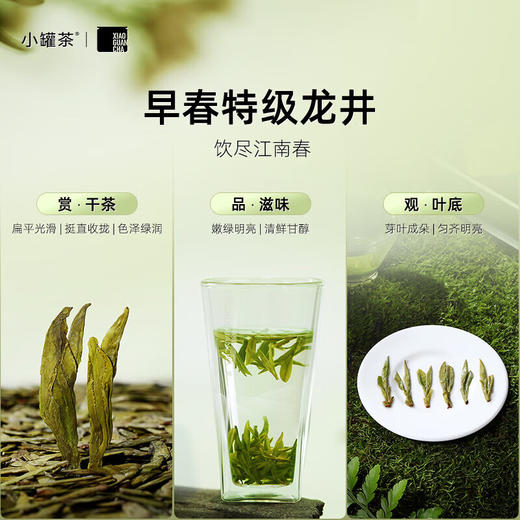 小罐茶大师系列早春龙井茶24罐装(银罐) 商品图3
