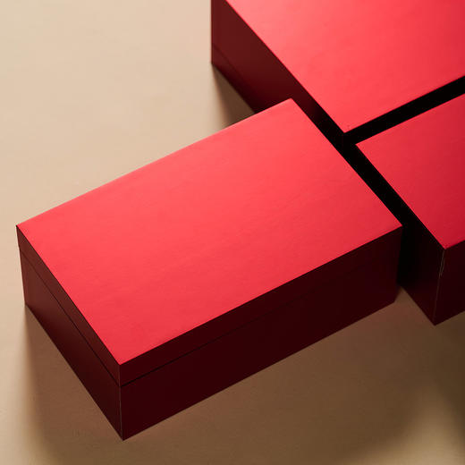 集盒【170—017方罐 红】40元一套/一箱18套 商品图2