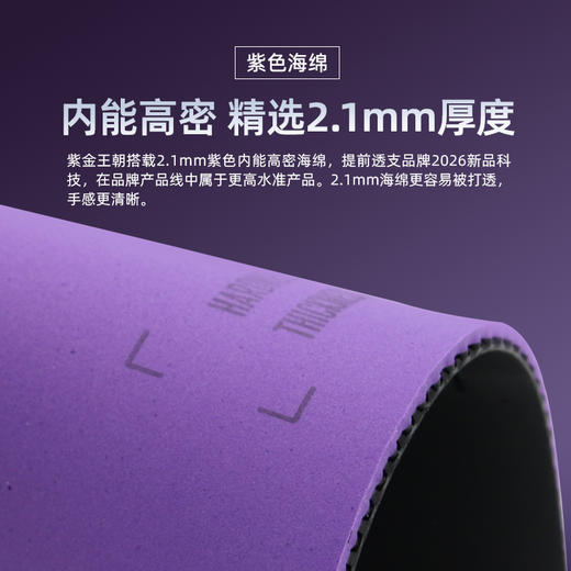 Sanwei三维国标靶紫金王朝专业乒乓球胶皮内能海绵粘性反胶套胶 商品图2