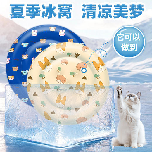 【凉爽睡眠！和燥热说再见】宠物冰垫夏季降温猫咪凉席垫狗垫子防撕咬睡觉用狗狗夏天睡垫冰窝。ry 商品图0