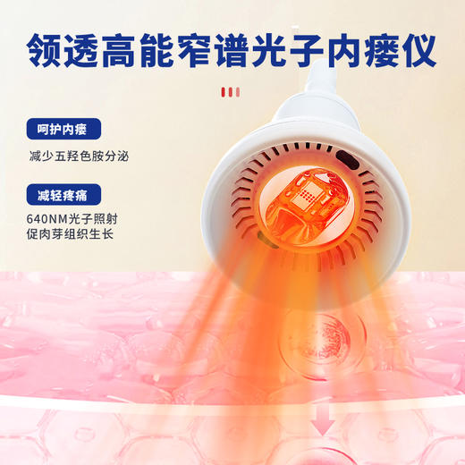 领透光子护瘘仪(红光) LT 商品图3