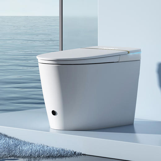 【门店款】帝王洁具M40智能马桶一体坐便器低水压家用马桶TA046 商品图0