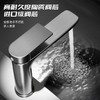 5946卡塔尔冷热单孔-枪灰 商品缩略图1