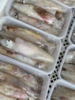 & 精品带籽鱿鱼🦑品质一级棒👍个个带籽味道更绝😋活冻 商品缩略图2