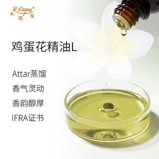 鸡蛋花精油L Frangipani Oil 印度直采 原料批发芳疗护理调香 商品图1