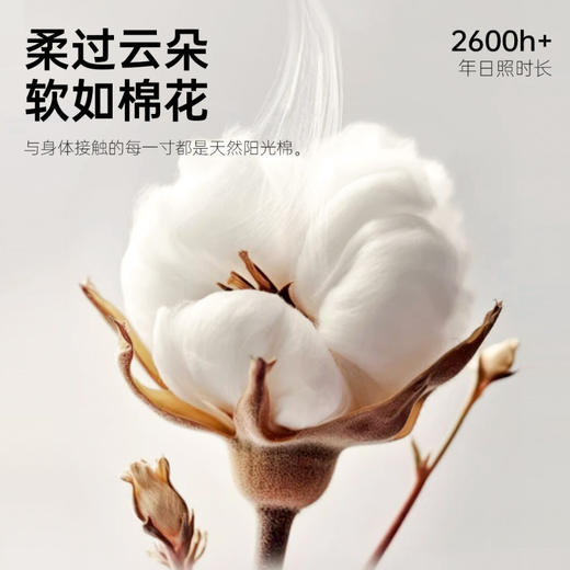 风轻日柔 4条装(VIP)  100%纯棉底裆夏季透气薄款舒适高弹不夹裆女士内裤 商品图2