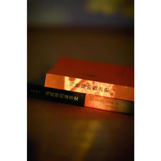 【英】格雷戈里·克雷斯《乌托邦的观念史》（交界译丛） 商品图3