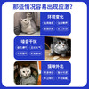 玲宠费洛蒙猫用喷雾安抚情绪扩散器猫咪信息素经典防猫应激乱尿 商品缩略图2