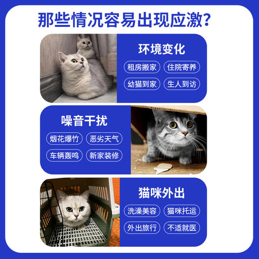 玲宠费洛蒙猫用喷雾安抚情绪扩散器猫咪信息素经典防猫应激乱尿 商品图2
