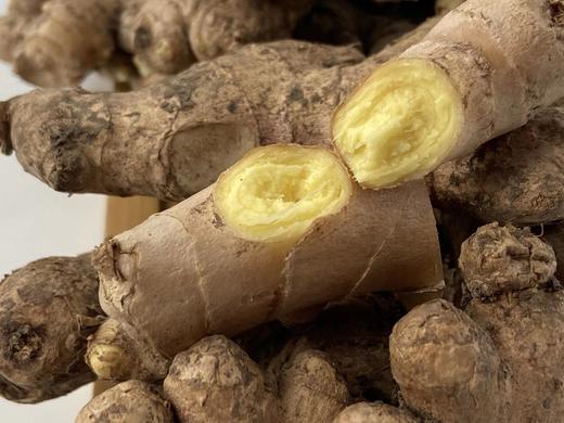 【云南高原小黄姜·老姜】千年养生智慧——餐桌都少不了它，厨房必不可少的佐料🤣云南海拔1500米高原露天有机标准种植 商品图4