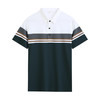 高端条纹锦氨翻领短袖polo衫夏季男士商务休闲T恤  HLS-W2822014 商品缩略图4