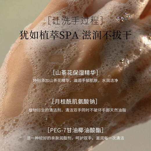 山茶氨基酸泡沫洗手液 255ml  A-4846 商品图3