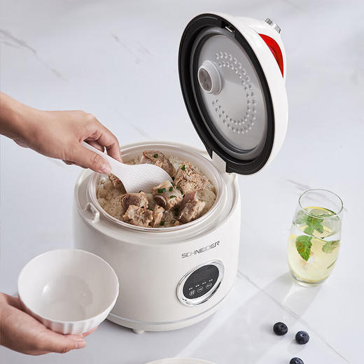 施耐德电饭煲SWK-XFL2512 商品图7