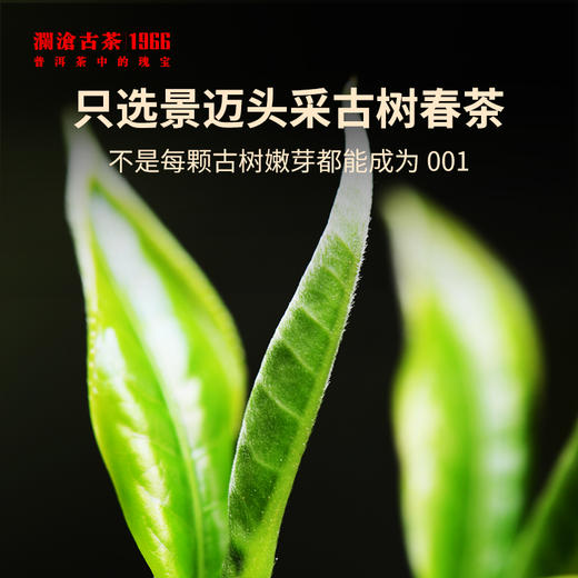澜沧古茶2022年001大饼普洱茶生茶云南茶叶景迈山古树春茶标杆纯料兰香 商品图1