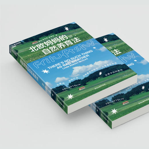 北欧妈妈的自然养育法  一套应对“手机式童年”的北欧育儿方法论！ 商品图4