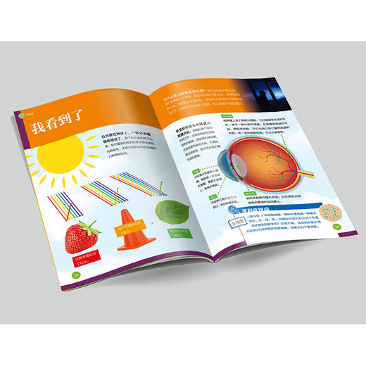 《了不起的物理》《了不起的生物》 商品图13