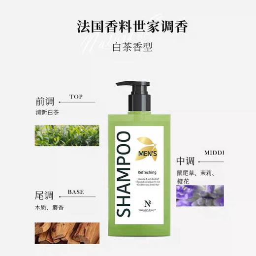 美国天然之扉男士洗发水净爽无硅油去屑止痒清爽控油蓬松400ml效期26年8月 商品图4