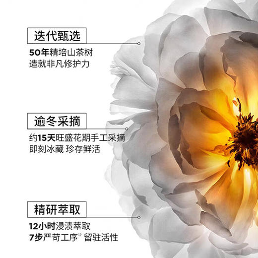 卡诗全新山茶花护发精油修护滋养防毛躁柔顺 商品图2