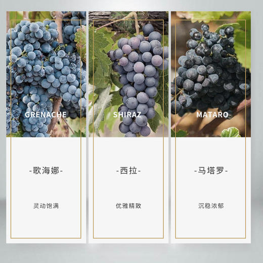熙柏GSM红葡萄酒 商品图2