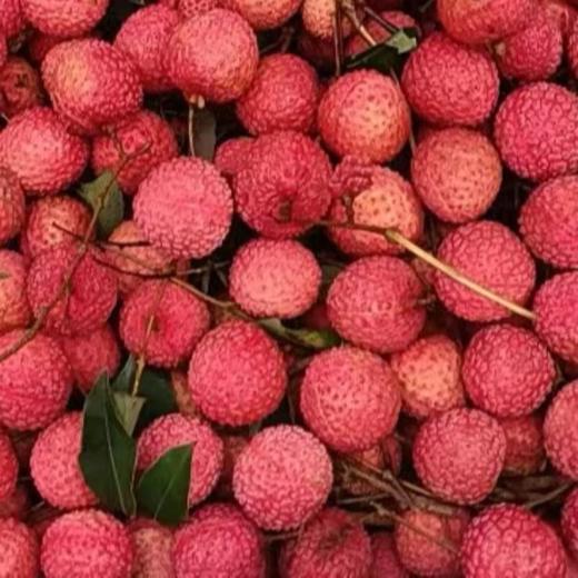 桂味荔枝A果 500g/份 商品图0