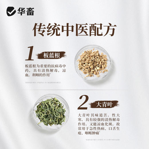 华畜板青颗粒500g 国标中兽药 清热解毒凉血下火 禽畜牛羊通用 商品图2