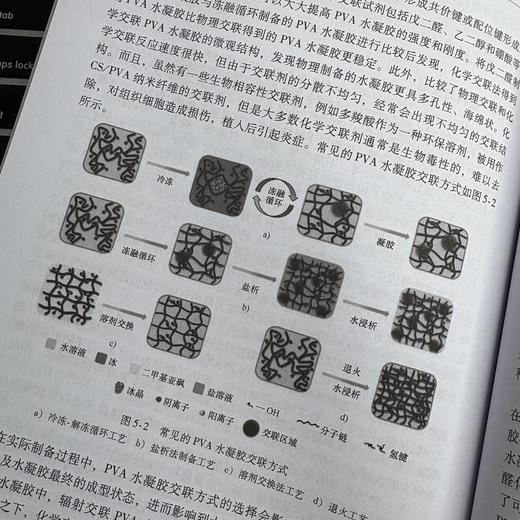 水凝胶及其软骨组织工程应用 商品图4