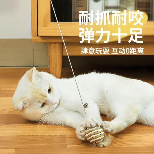 【原木手工逗猫棒】猫玩具逗猫棒猫咪自嗨可爱仿真小老鼠解闷带铃铛耐咬网红小猫用品。ry 商品图0