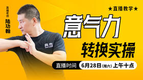 意气力转换实操 ——直播教学（陆师亲授）