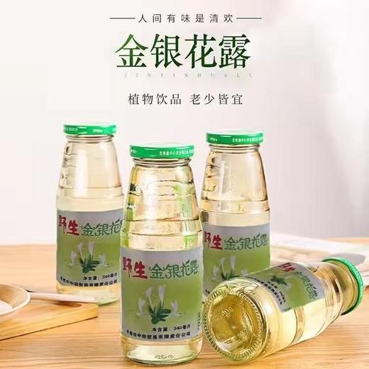 中田金银花露340ml*12 商品图1