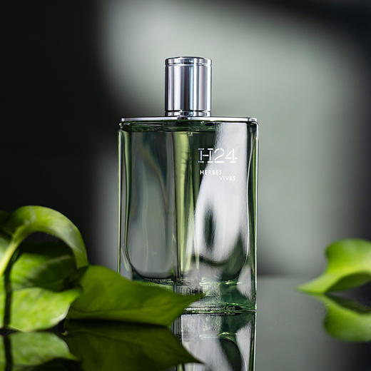 爱马仕 律动二十四沁然逸动 Hermes H24 Herbes Vives 分装 商品图1