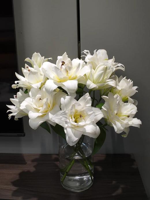 精品百合暴风雪重瓣百合 商品图4