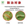 美杨-伸正甲维•虱螨脲   有效杀灭菜青虫、钻心虫、甜菜夜蛾 商品缩略图1