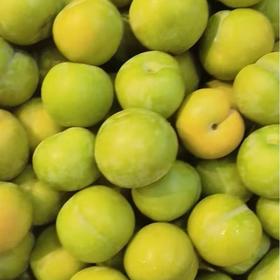 蜂糖李AA果 500g/份