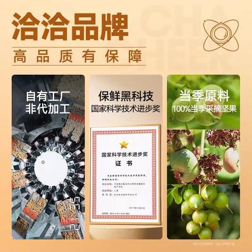 洽洽小黄袋纯坚果每日坚果七袋装 商品图1